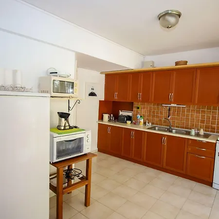 Cettia Daily Weekly * مرمريس